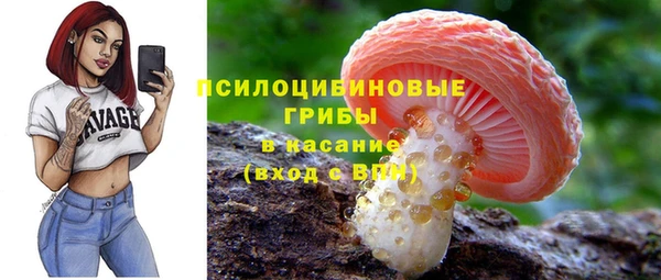 хмурый Бикин