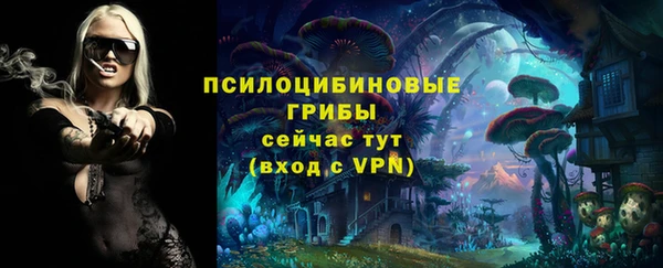стаф Наволоки