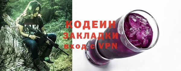 хмурый Бикин