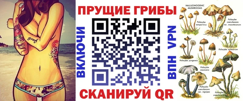 mega ТОР  Ряжск  Псилоцибиновые грибы MAGIC MUSHROOMS 